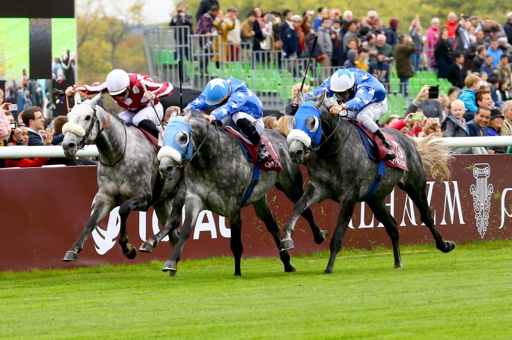 QAWC-00124622-158-scoopdyga