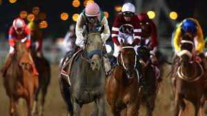 arrogate dubai