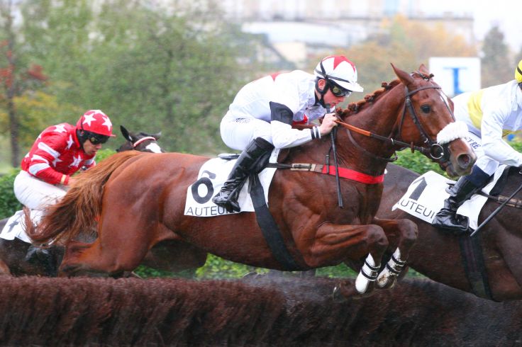 Nirvana du Berlais 4 - APRH